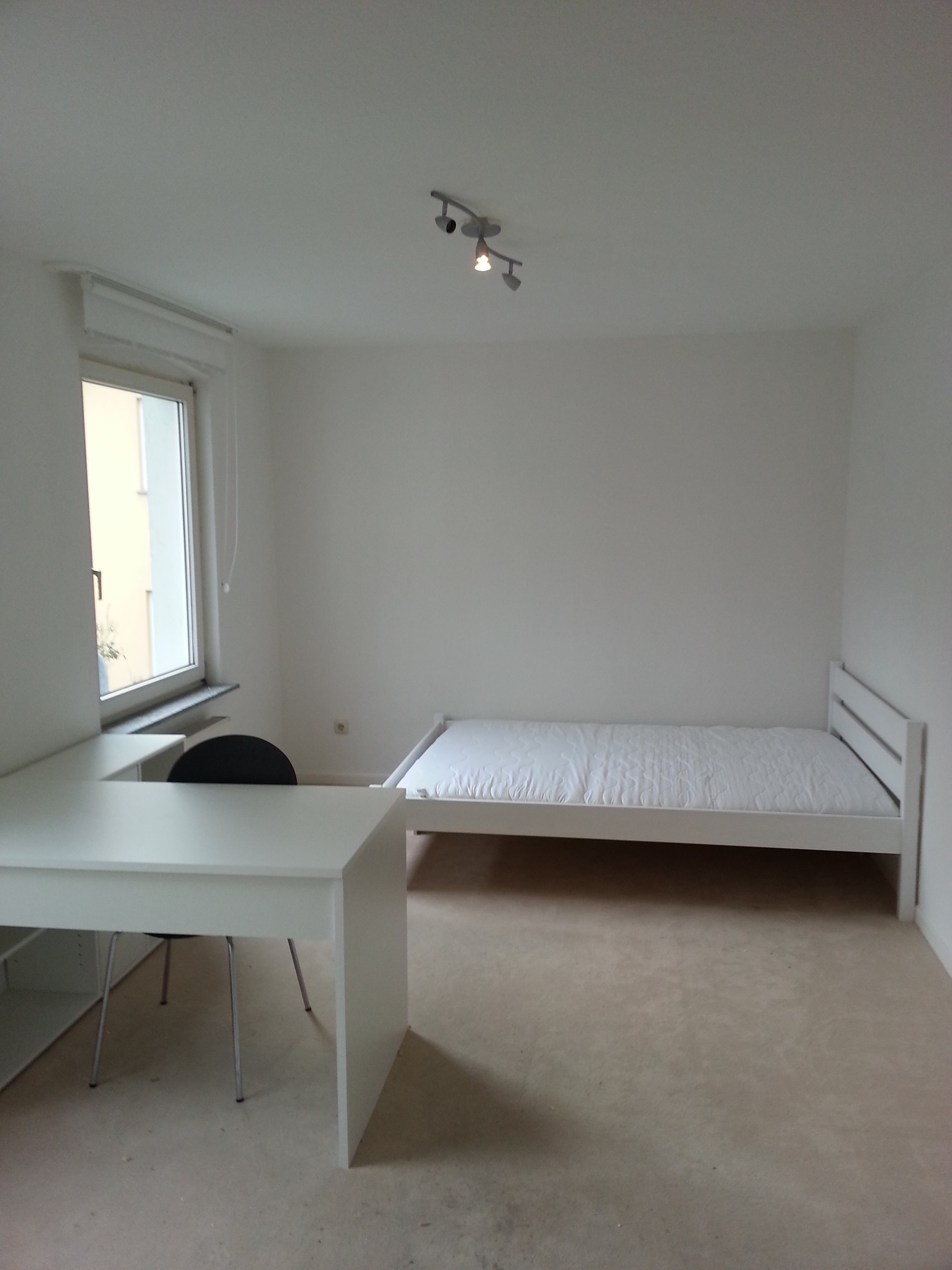 Domicil Immobilien Immobilien